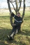 meskis (26 m., Šiauliai)