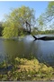 Vietinis (31 m., Lietuva)
