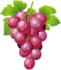 Vynuogės