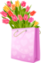 Tulpių krepšelis