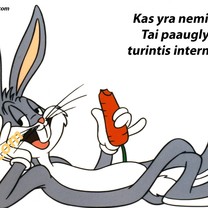 Vėl nemiga kankina..