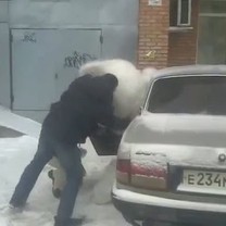 Užsimanė padovanoti milžinišką meškiuką 