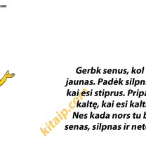 Kada nors visiems taip bus