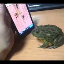 Sumušė naują rekordą