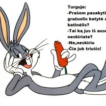 Turgaus platybės
