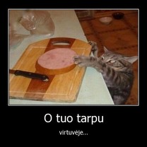 O tuo tarpu