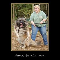 Nebijok, jis tik žaist nori!