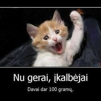 Nu gerai, įkalbėjai!