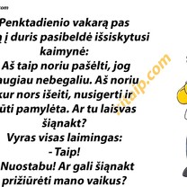 Nepasisekė