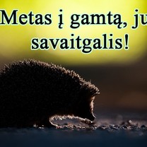 Metas į gamtą