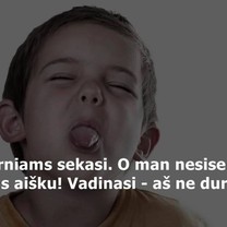 Nesiseka