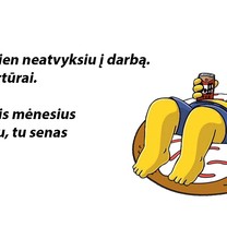 Darbo įpatumai