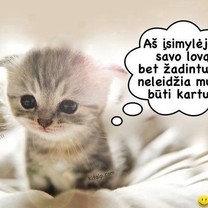 Žadintuvas