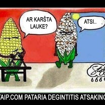 Perkaito vyrukas