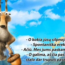 Silpnoji pusė