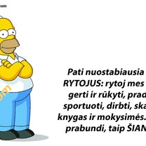 Viskas rytoj