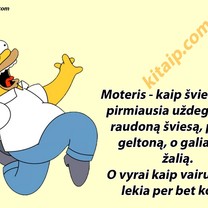 Šviesoforai ir vairuotojai