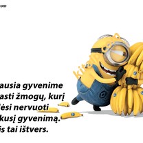Svarbiausi dalykai