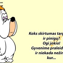 Koks skirtumas?