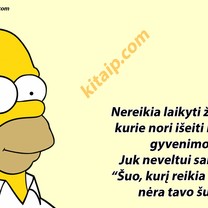 Niekada nelaikyk jėga