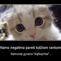 Kas namuose gyvena