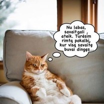 Niekur dabar jau nepabėgsi