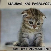 Ir taip kiekvieną sekmadienį 