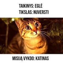 Eglutė ir katinas