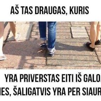 3 draugai