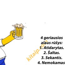 Geriausios alaus rūšys
