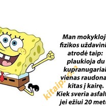 Fizika