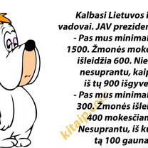 Apie pragyvenimą 