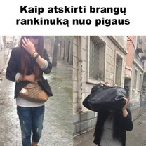 Brangus vs. pigus