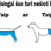 Kaip teisingai?