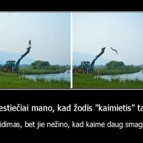 Kaimietis