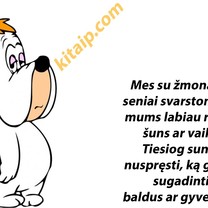 Dilema