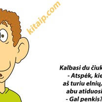 Tai kiek elnių?