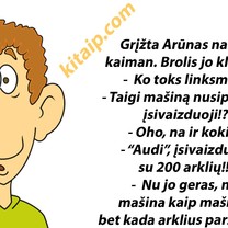 Arkliai