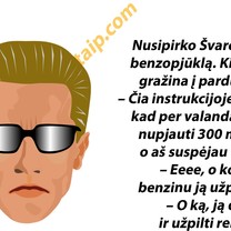 Švarcnegeris