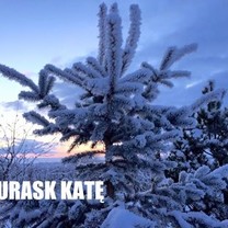 Surask katę