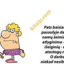 Namų šeimininkė