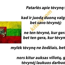Apie Tėvynę