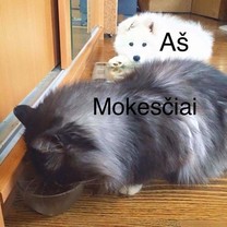 Mokesčiai