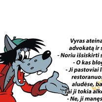 Skyrybos