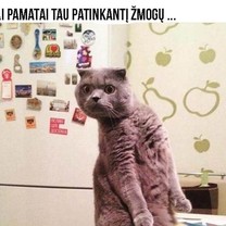 Kai pamatai patinkantį žmogų
