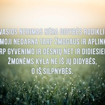Išmintis 