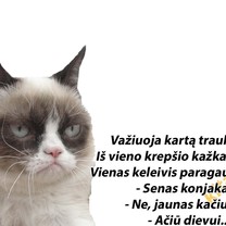 Konjakas