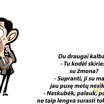 Skyrybos