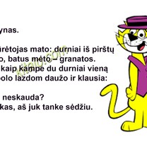 Durnynas