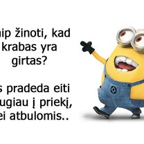 Girtas krabas